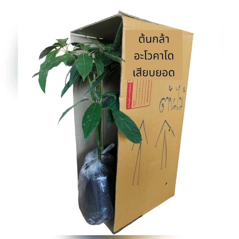 product-image.png