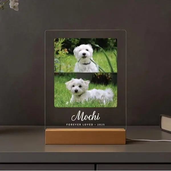 Personalized Pet Memorial LED Night Light — Custom TikTok爆款商品分析 - GMV ...