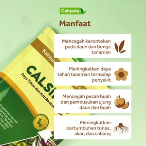 product-image.png