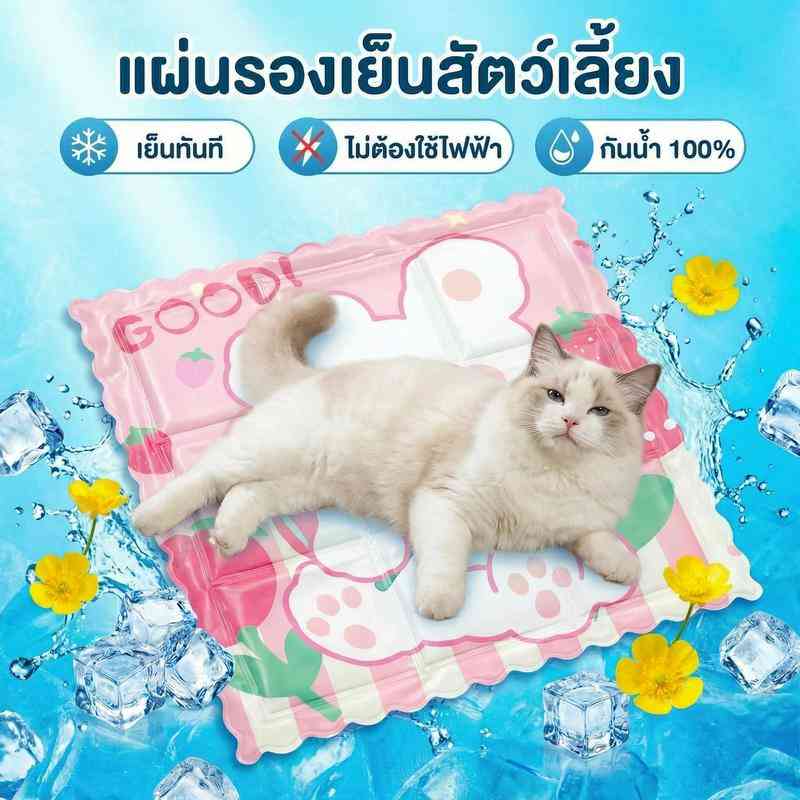 product-image.png