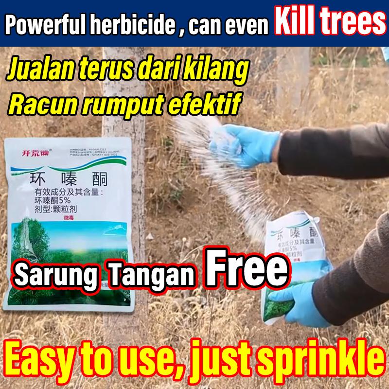 product-image.png