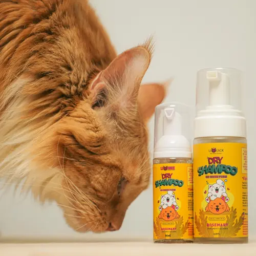 product-image.png