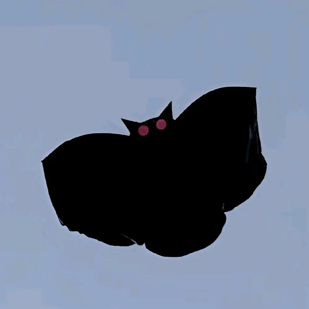 product-image.png