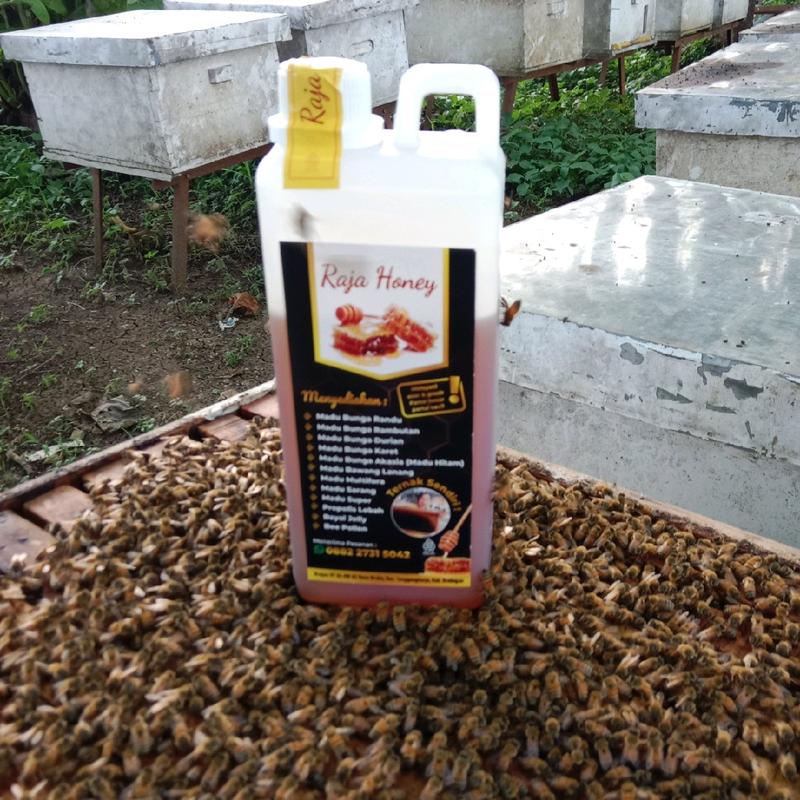 product-image.png