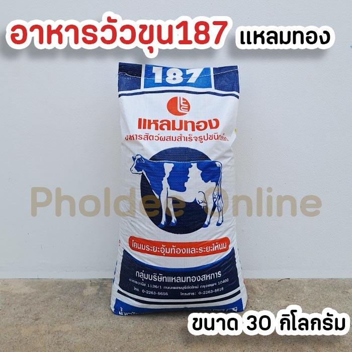 product-image.png