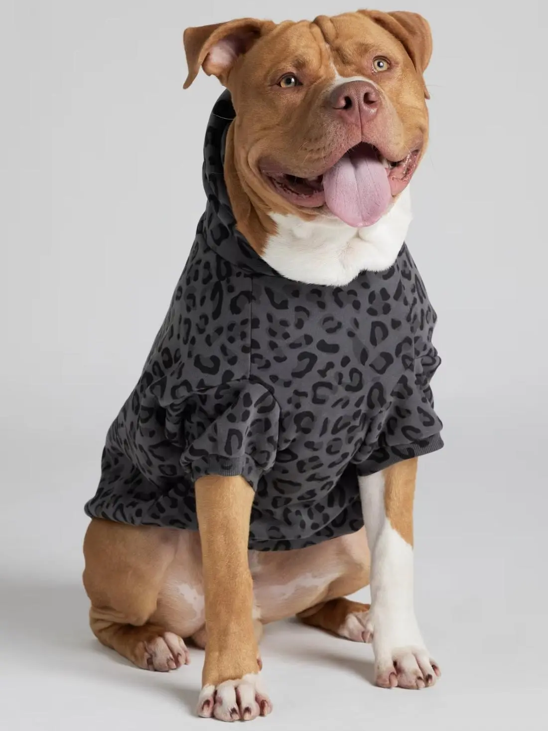 Comfrt Paws | Minimalist Hoodie | Soft Pet Matching Hoodie Puppy