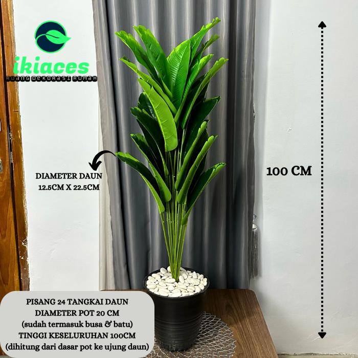 product-image.png