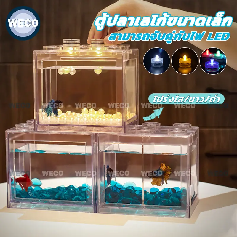 Thumbnail 10