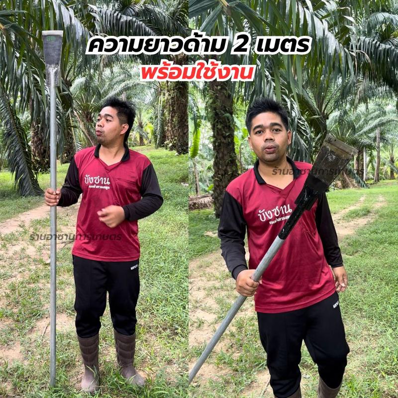 Thumbnail 7