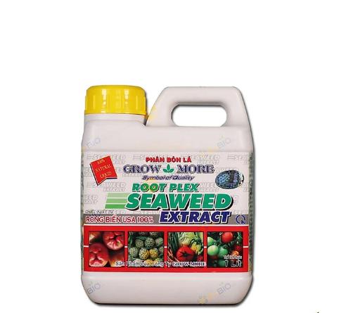 product-image.png