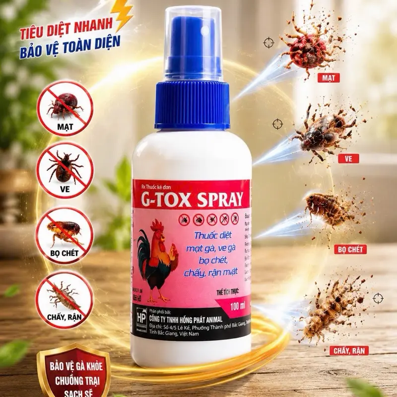 product-image.png