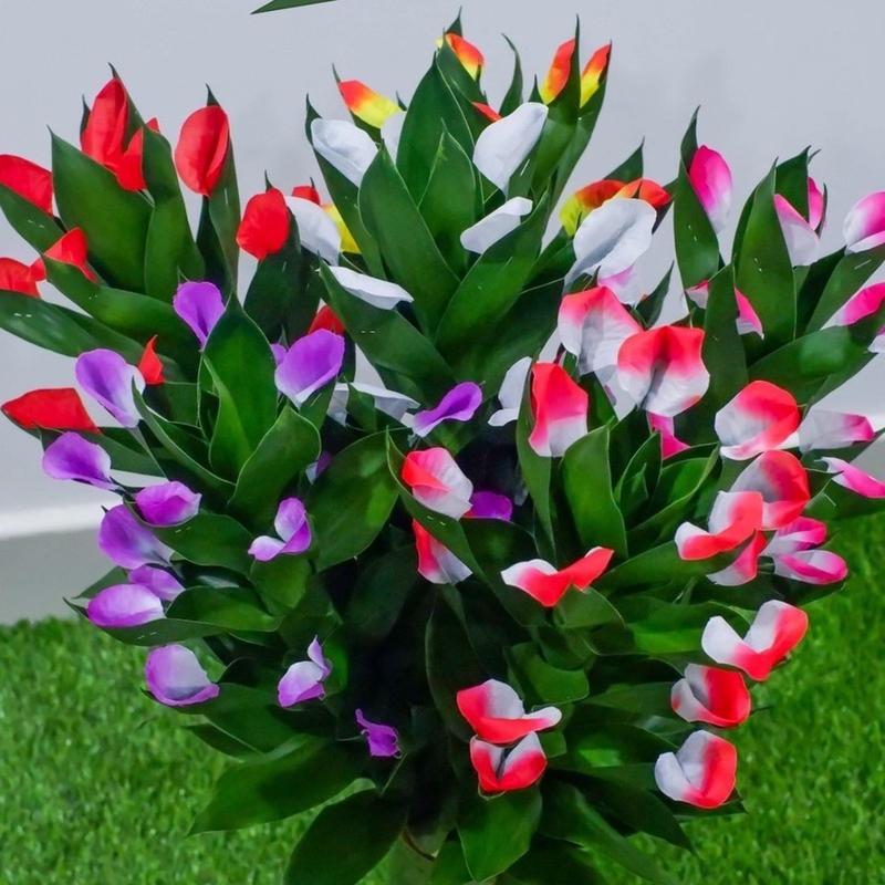 product-image.png