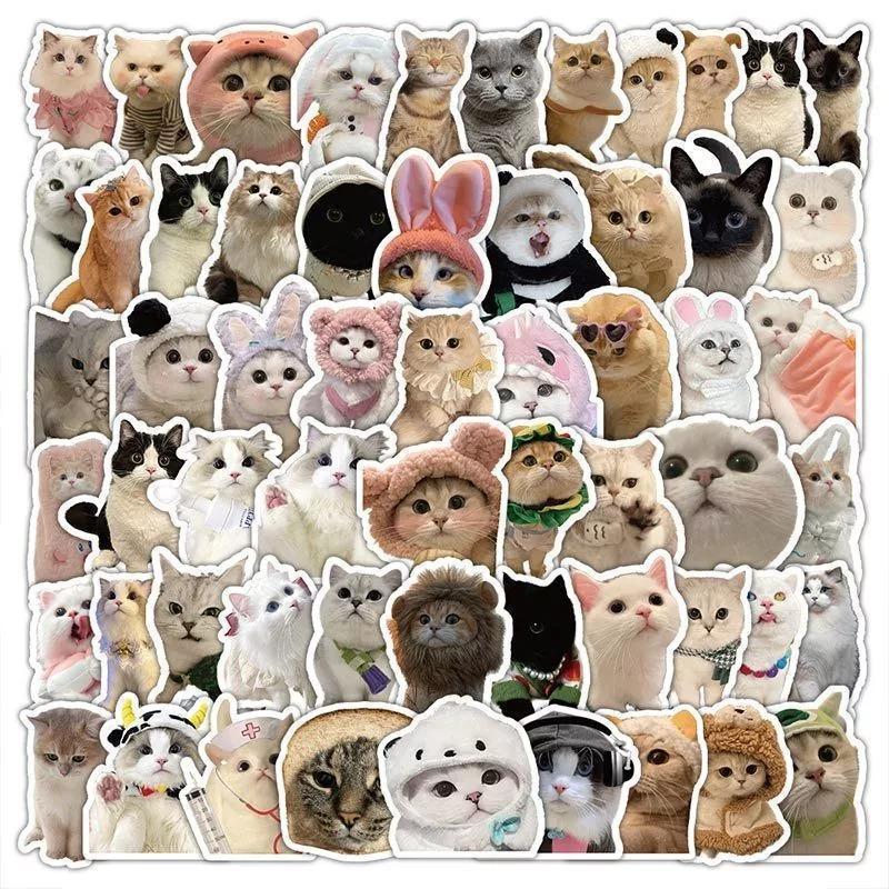 Sticker Cat. Random 查看[Random Sticker - Funny Cat Meme Sticker Pack For Pets Lover. Vinyl ...