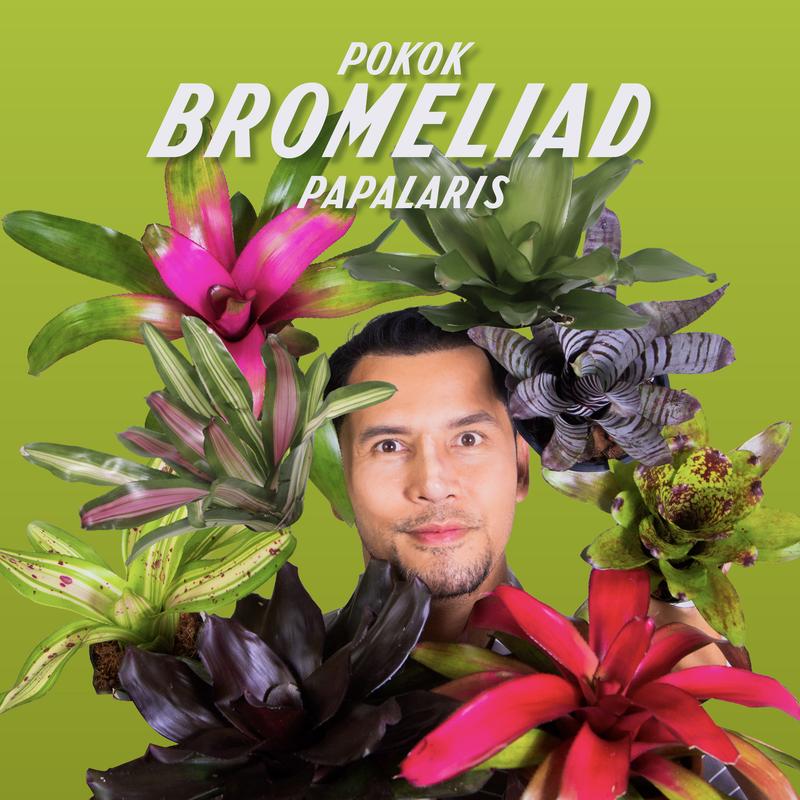 product-image.png
