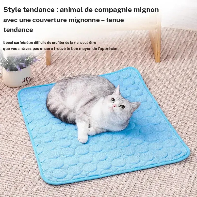 product-image.png