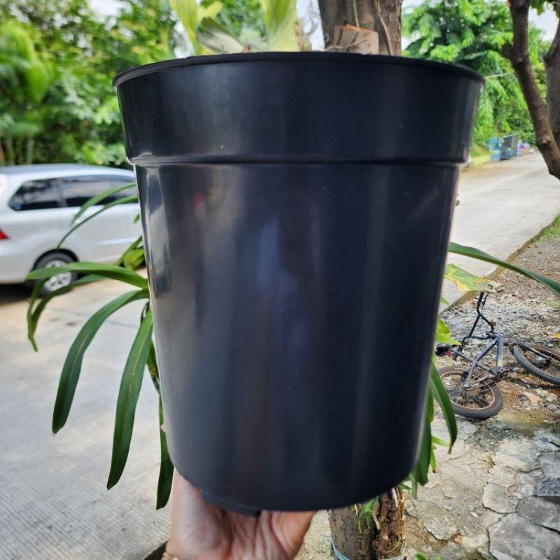 product-image.png