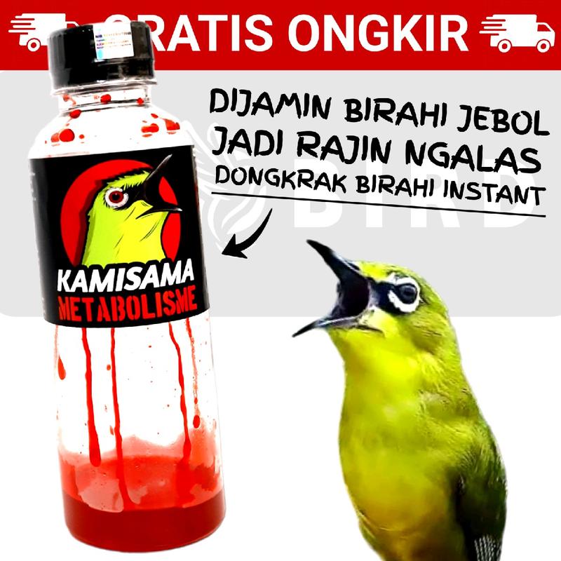 product-image.png