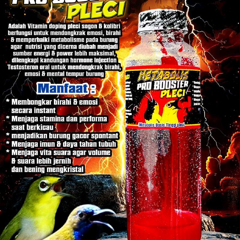product-image.png