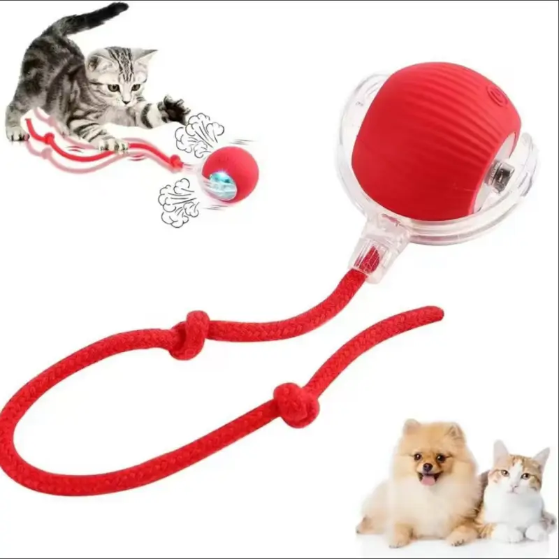 Electric Rolling Cat Ball Toy with Rope, Interacti TikTok爆款商品分析 - GMV ...