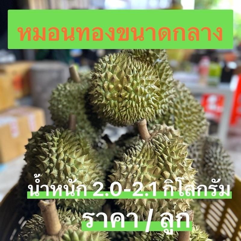 product-image.png