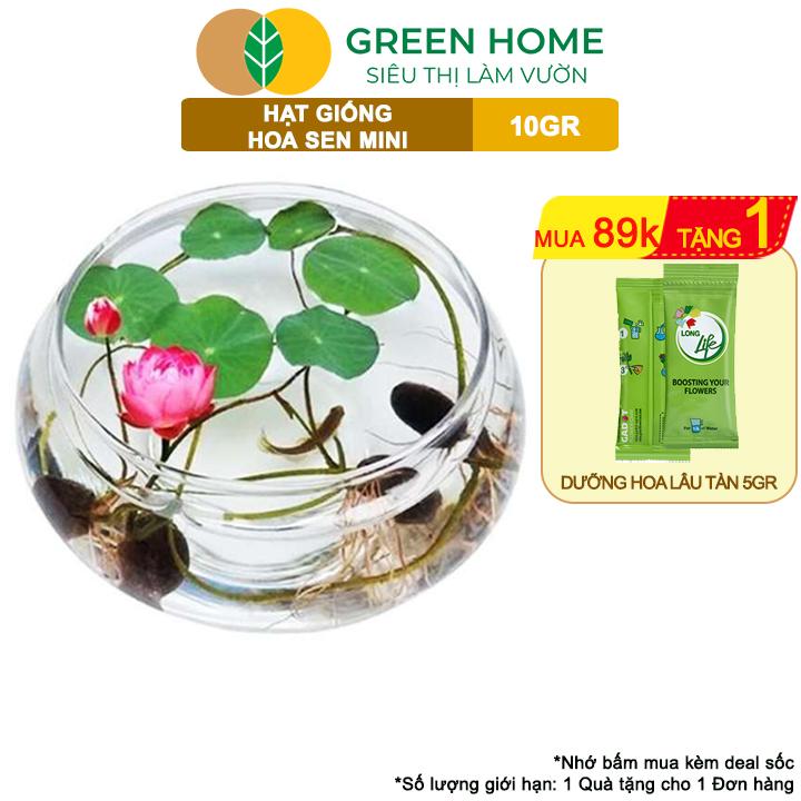 product-image.png