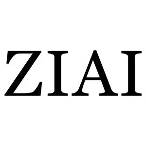 ZIAI 2