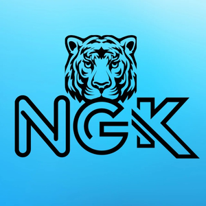 NGKSTORE BR