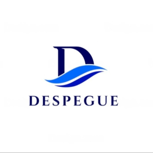 DESPEGUE