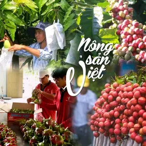 Nông Sản Xanh 125