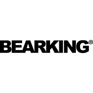 Bearking Fishing Tackle Store