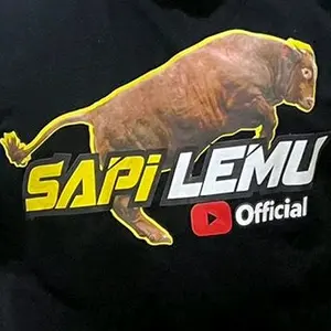 sapilemu.shop
