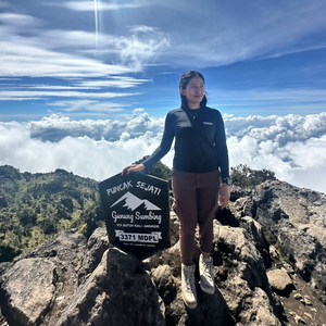 Pikachu cell magetan