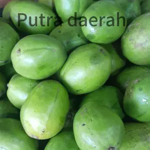 Kios putra daerah