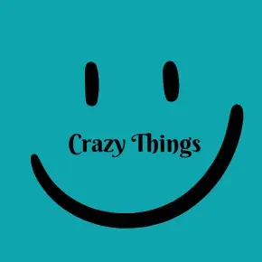 Crazy Things - DJ