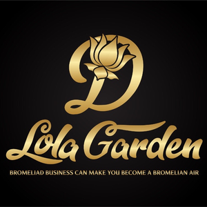 D Lola Garden - Bromeliad