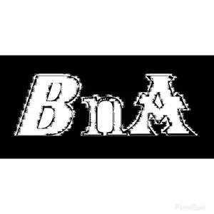 BnA socks