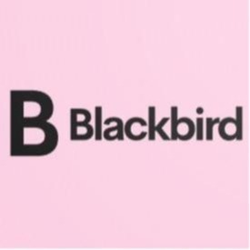 Blackbird Boutique