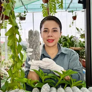 Phân Dê Đã Xử Lý - Ngọc Lâm