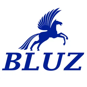 BLUZ UK