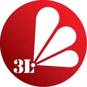 3L
