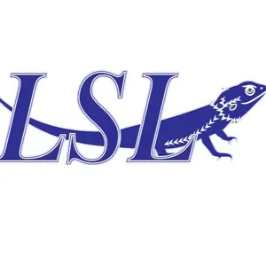 LSL AUTO TRADING