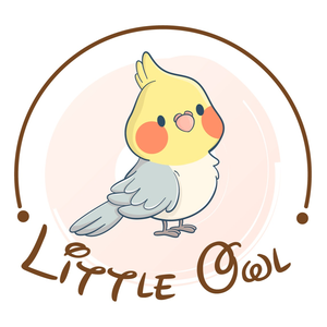 Little_Owl