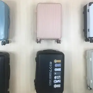 Fashion travel luggage