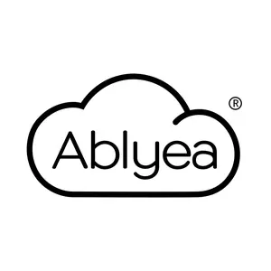 ABLYEA DreamValue Mattress