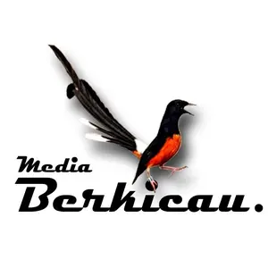 Media Berkicau