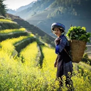 Shop Vàng A Minh