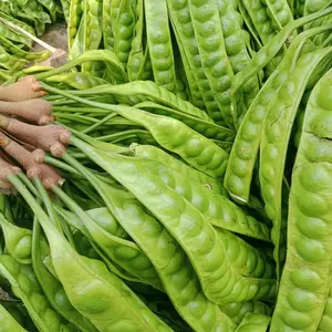 SEKAR PETE UTAMA