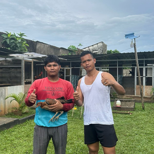 Sandi sonda Farm