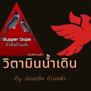 นัท นกกรงหัวจุก บ้านแพ้ว