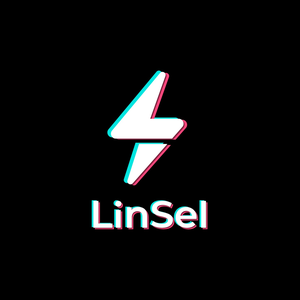 linselmx